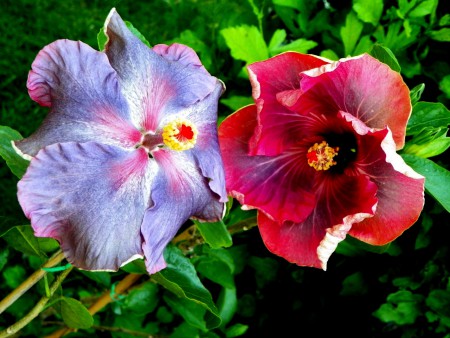 At Midnight & Me-oh My-oh